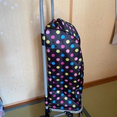 （新品）ショッピングカートの画像
