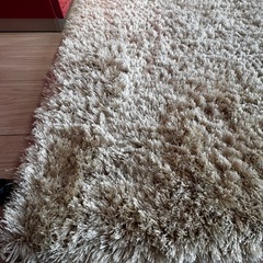 カーペット2枚セットの画像