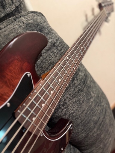 HEX Guitars/ B365 LOXXストラップピン＆専用ギグケース付き