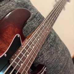 HEX Guitars/ B365 LOXXストラップピン＆専用ギグケース付きの画像