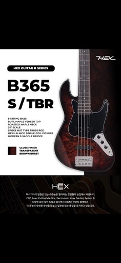 HEX Guitars/ B365 LOXXストラップピン＆専用ギグケース付き
