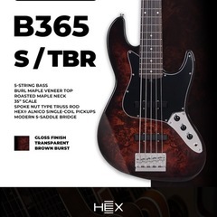 HEX Guitars/ B365 LOXXストラップピン＆専用ギグケース付きの画像