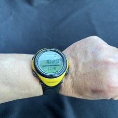 スント　ベクター　　人気のイエローの画像