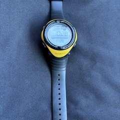 スント　ベクター　　人気のイエローの画像