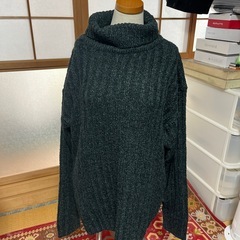 美品タートルお尻スッポリセーターLサイズの画像