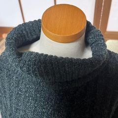 美品タートルお尻スッポリセーターLサイズの画像