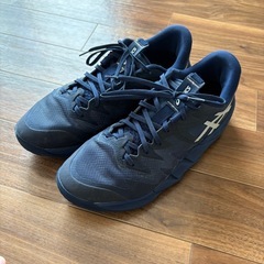 ASICS UNPRE ARS LOW 2 アンプレ アルス ロー 2 　27センチの画像