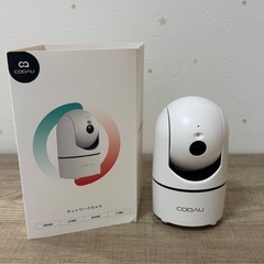 ネットワークカメラの画像