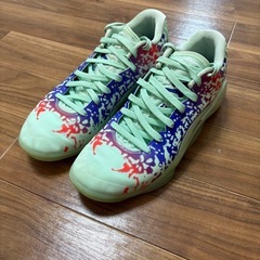 JORDAN ZION ジョーダンザイオン　27センチの画像