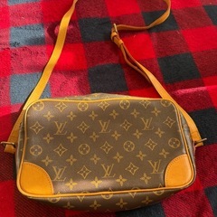 ビィトンバックの画像