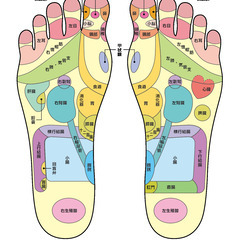 【足つぼ資格】足裏から体を読み取れる技術を学ぶ3時間講座｜実技あり・アフターフォローつきの画像