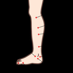 【足つぼ資格】足裏から体を読み取れる技術を学ぶ3時間講座｜実技あり・アフターフォローつきの画像