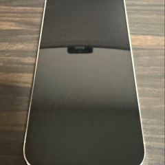 iPhone14ProMAXの画像