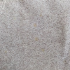 POLARBEAR BENJAMIN  の画像