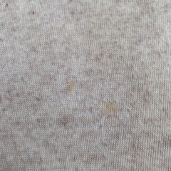 POLARBEAR BENJAMIN  の画像