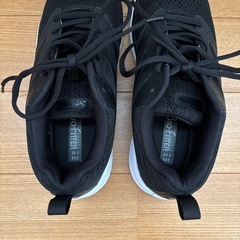 Bio Fitter 24.5センチ 美品 2回室内で使用の画像