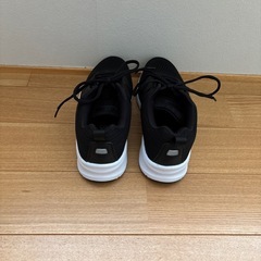 Bio Fitter 24.5センチ 美品 2回室内で使用の画像