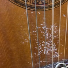 【ジャングル深井店】★アコースティックギター 全音ガットギター 音楽 楽器 簡易クリーニング済 堺市（中区 堺区 東区 西区 南区 北区）和泉市 河内長野市 富田林市 松原市 狭山市 深井 【FU2977】の画像