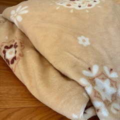 【2枚セット】冬用シングルシーツの画像