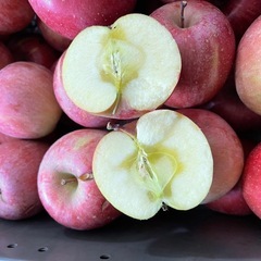 訳あり加工用　須坂市産サンフジ　 りんご　約10kg入の画像