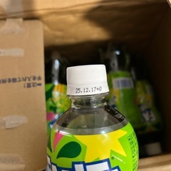 ファンタ　メロンソーダ　ペットボトル　19本の画像