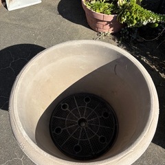 植木鉢　大の画像
