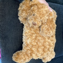 寝そべりクマのぬいぐるみの画像