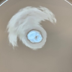 A7158【ロールストランド】クリナラ プレート 23cm 2枚の画像