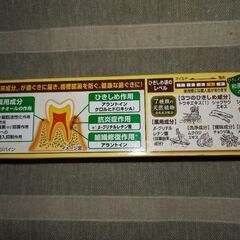 🦷新品未開封品🦷生葉(しょうよう)　ひきしめ実感タイプ　100g　🌿沢山買いすぎたのでので1箱お譲りします🌿の画像