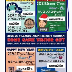 Vリーグ碧南大会 12/6(土)観戦チケット２枚(3階自由席)の画像
