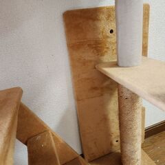 キャットタワー　取引中の画像