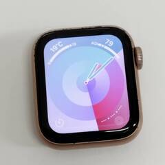 Apple Watch SE 第1世代/GPS/40mm/A2351/ゴールド〈MKQ03J/A〉 (6)の画像