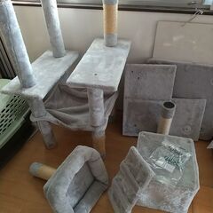 中古キャットタワーの画像