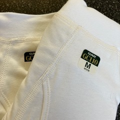 M2511-474 GUNZE GC110 スパン ブリーフ 前あき Mサイズ 2枚組 ホワイト 抗菌防臭加工 快適仕様 未使用品 保管汚れ有りの画像