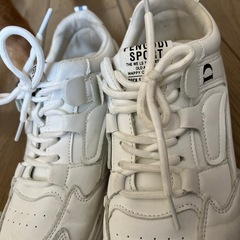 レディーススニーカーの画像