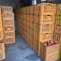 リンゴ　B級品の画像