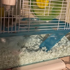 ハムスターケージの画像