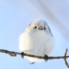 生活保護受給中の女性の方募集中