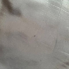 adidas アディダス　シャカパン　140の画像