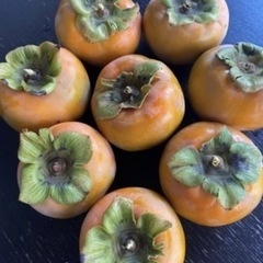 【期間限定】自然の甘さの柿10個の画像
