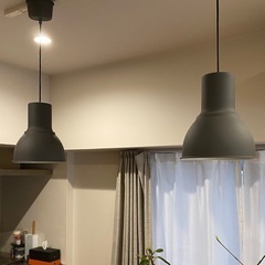 照明　ペンダントランプ2個　 IKEAヘクタル ダークグレー, 22 cmの画像