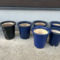 蘭鉢　他陶器の鉢15鉢の画像