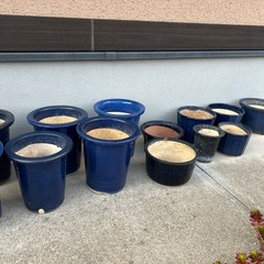 蘭鉢　他陶器の鉢15鉢の画像