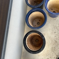 蘭鉢　他陶器の鉢15鉢の画像