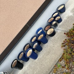 蘭鉢　他陶器の鉢15鉢の画像