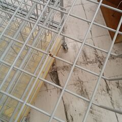 リユースのサカイ栃木店★ジモティ割あり★  ラック ベージュ×グレー W56×D42×H88.5 クリーニング済み TC11762の画像