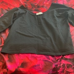 長袖チビTの画像