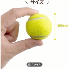 犬のおもちゃ
の画像