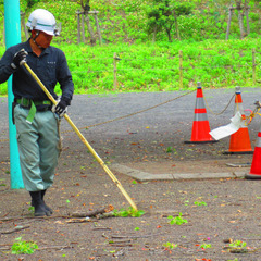 ▼正社員：造園の現場作業員【未経験OK】▼ 残業なしでスキルが身につく！落ち着いた環境で長く働ける◎ 経営は安定！働き方改革にも積極的に取り組み◎ 建設会社や公共工事でも表彰された実績あり◎の画像