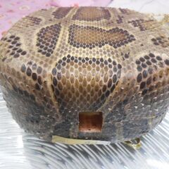 本日限定全品表示から更に10％引き、例として新品未使用 7.500円　三線専用肩紐付き一丁入ふかふかハードケースその他色々の画像